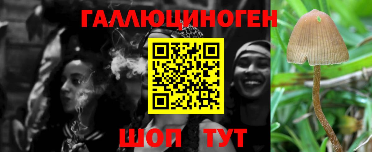 Пушкино  Псилоцибиновые грибы Magic Shrooms  Вход с VPN 
